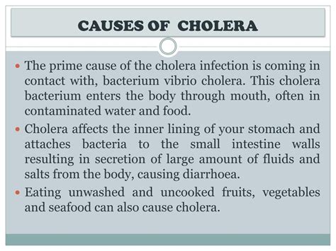 What Causes Cholera And How Is It Transmitted