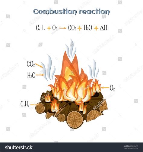 What Causes Combustion Reaction