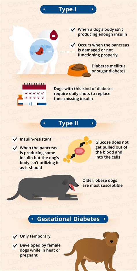 what causes dm in dogs