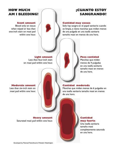 What Causes Excessive Bleeding During Abortion