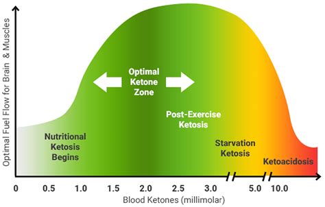 What Causes High Ketone Levels