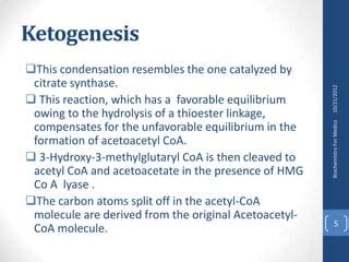 What Causes Ketogenesis