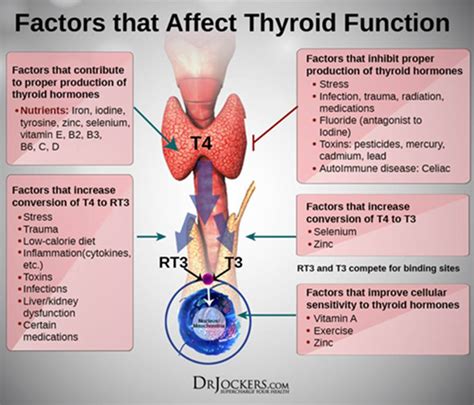 what causes low thyroid function