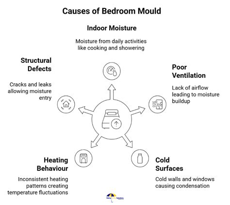 What Causes Mould In My Bedroom
