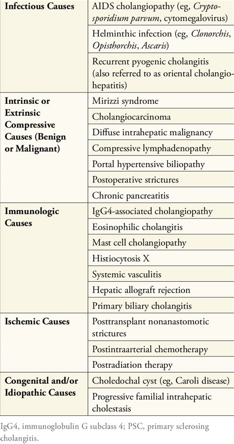 what causes secondary sclerosing cholangitis