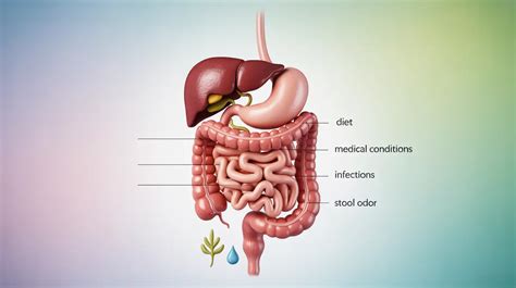 What Causes Sweet Smelling Stool