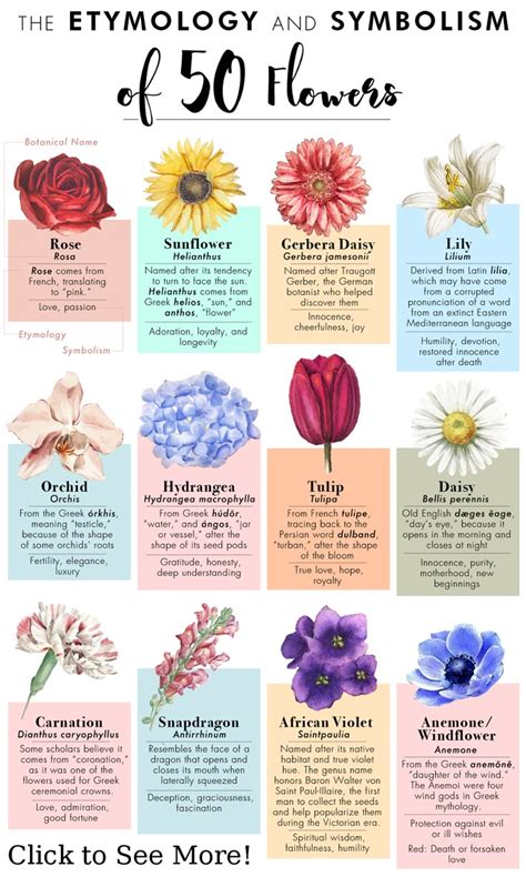 What Certain Flowers Symbolize
