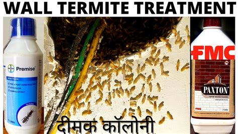 what chemical do termite companies use