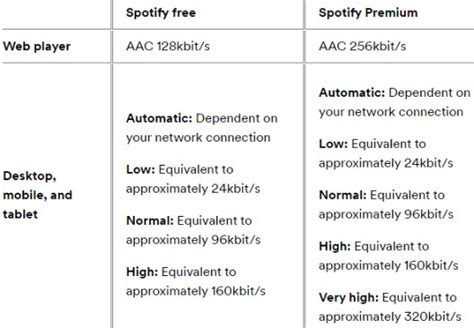 what codec does spotify use