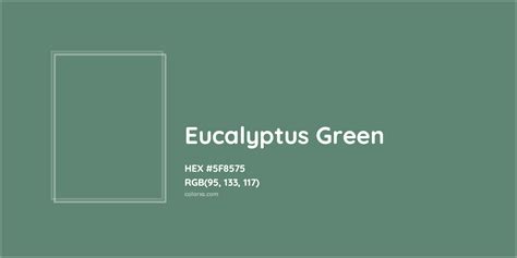 what color is eucalyptus green