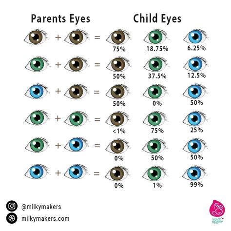 What Color Will My Baby's Eyes Have
