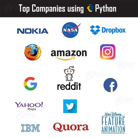 what companies use python programming language