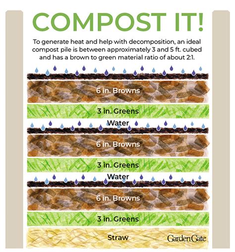 What Compost For A Fir Tree