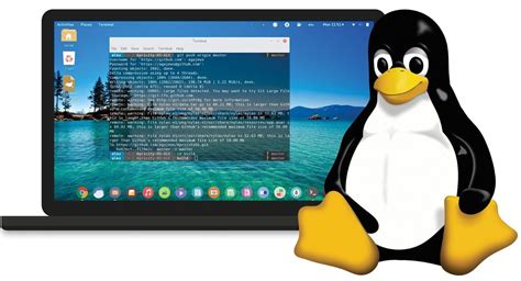 what computers use linux operating system