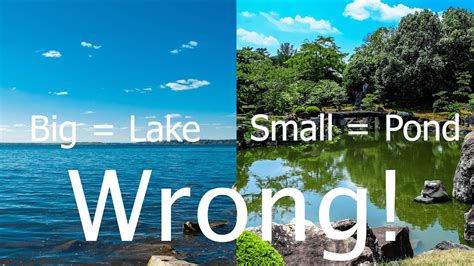 what constitutes a lake vs. pond