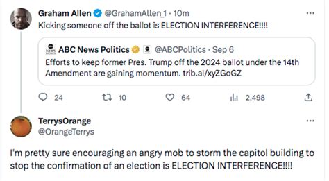 what constitutes election interference
