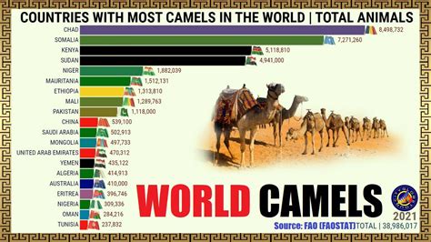 what country has camels