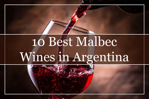 what country makes the best malbec wine