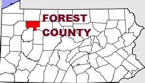 what county is forest city pa