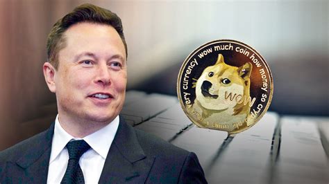 what crypto coins does elon musk own