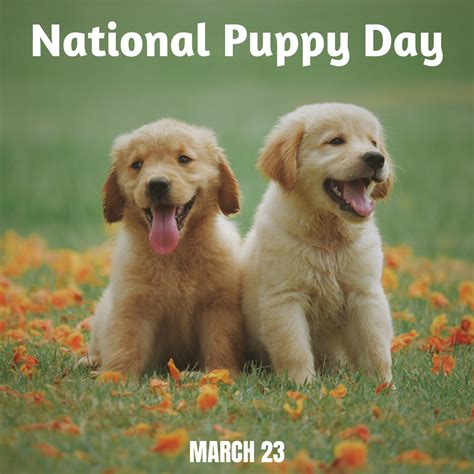 what day is national puppy day