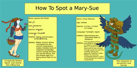 what dies mary sue mean