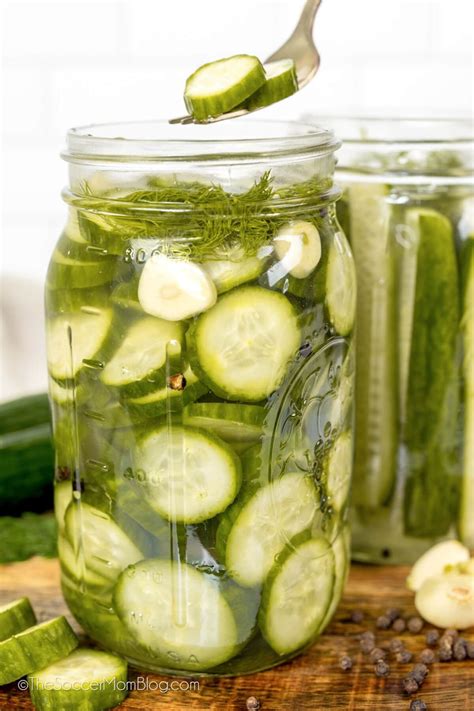 What Dill For Pickling