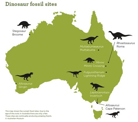 what dinosaur fossils were found in australia
