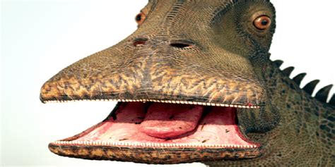 What Dinosaur Has 500 Teeth Joke Explanation