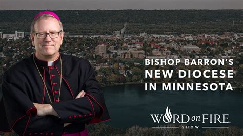 what diocese is bishop barron in