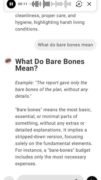 What Do Bare Bones Mean