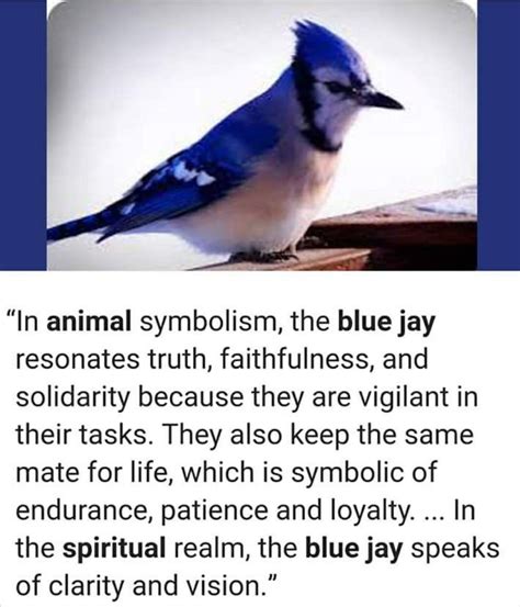 what do blue jays symbolize