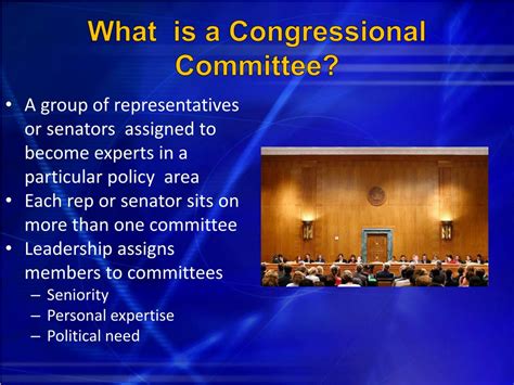 what do congressional subcommittees do