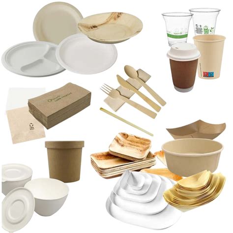 What Do Disposable Mean