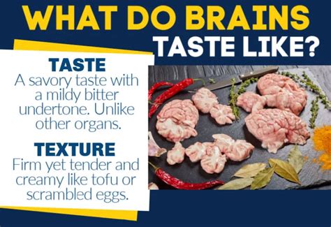 what do human brains taste like