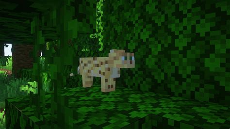 What Do Ocelots Do Minecraft