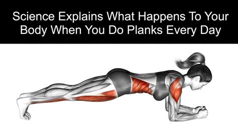 What Do Planks Do