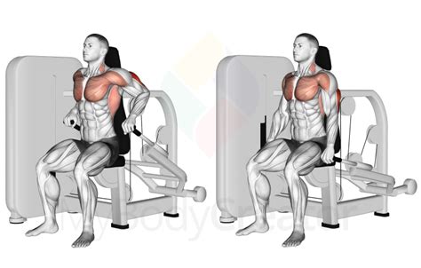 What Do Seated Dips Work