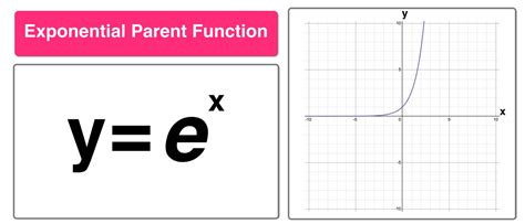 what do the variables represent in an exponential function