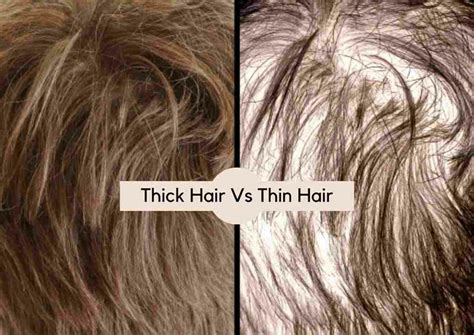 The What Do Thick Hairs Mean For Short Hair