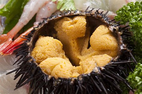 what do urchins taste like