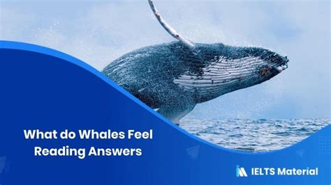 what do whales feel ielts reading