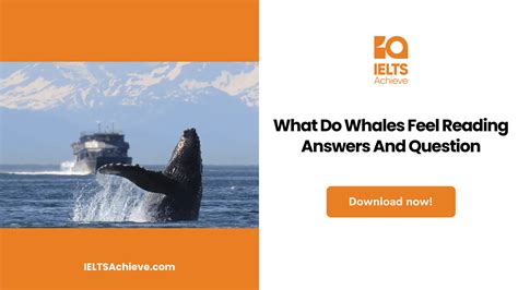 what do whales feel reading answers