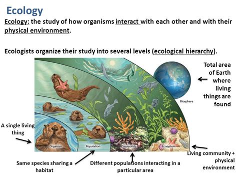 what do you call the study of plants and animals