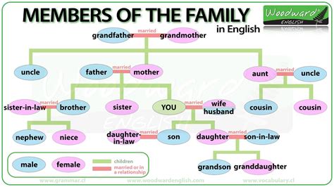 what do you call your mother's brother's daughter