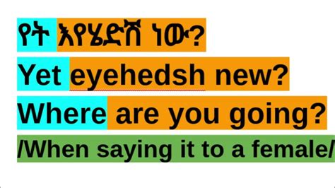 what do you mean amharic