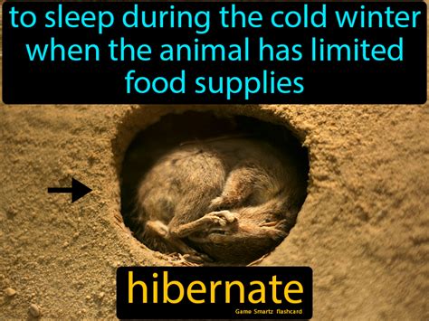 what do you mean by hibernation