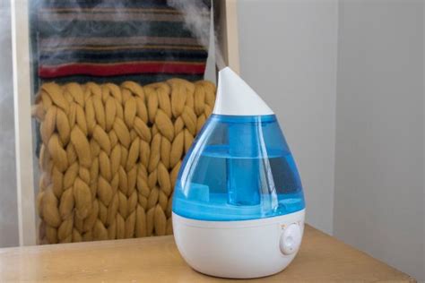 What Do You Put In A Humidifier To Keep It Clean