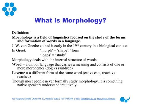What Does 1 Morphology Mean