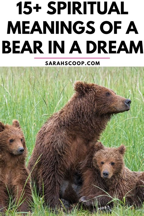 What Does A Bear In A Dream Represent